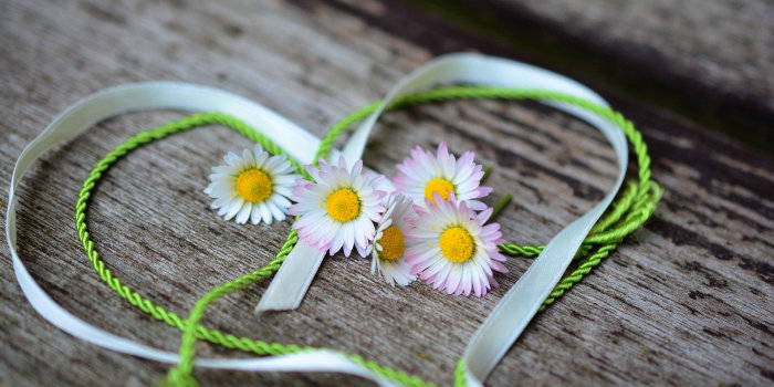 Foto: Valentinstag © congerdesign auf Pixabay Gänseblümchen in Herz