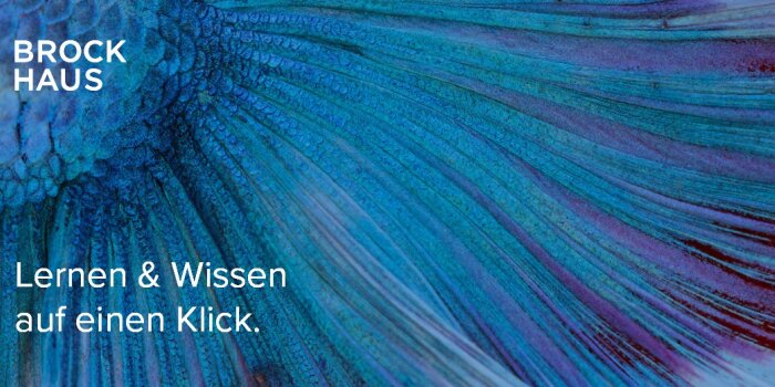 Interner Verweis: Digitale Wissens- und Lernerlebnisse für Schüler
