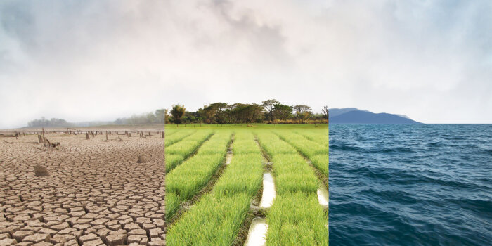 Wüste, Gras und Meer nebeneinander angeordnet