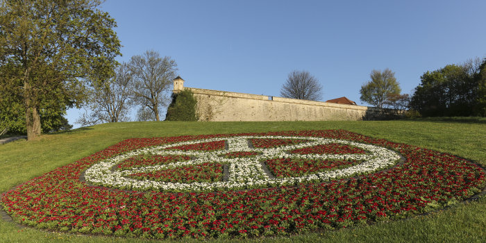 Das mit Frühlingsblumen bepflanzte Erfurter Rad unterhalb der Festung Petersberg in Erfurt.