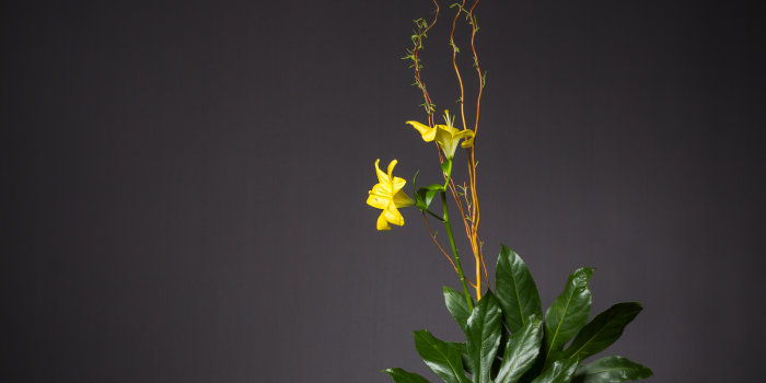 Foto: Blumen zu ihrer schönsten und eigentlichen Gestalt bringen... © Stadtverwaltung Erfurt/Grit Kästner Blumengesteck