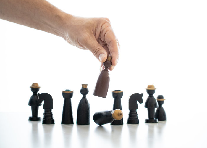 Schach in den Ferien Schachfiguren