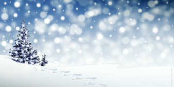 Grafik: Weihnachtsgrüße VHS 2020 © Stadtverwaltung Erfurt / pixabay.com / S. Hermann & F. Richter Grafik weiße Winterlandschaft mit Tannenbaum und Schneeflocken.