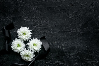 auf schwarzem Hintergrund liegen vier weiße Blüten mit scharzem Band