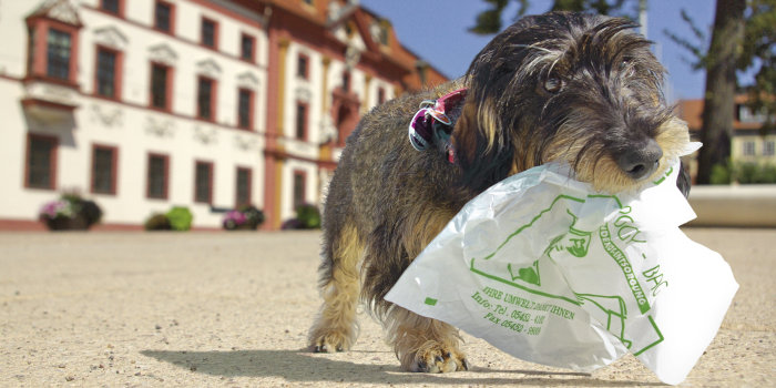 Ein Hund trägt eine Hundetüte