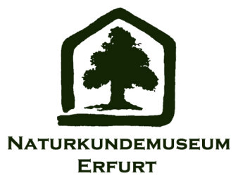 Das Bild zeigt das Logo mit dem Schriftzug Naturkundemuseum. 