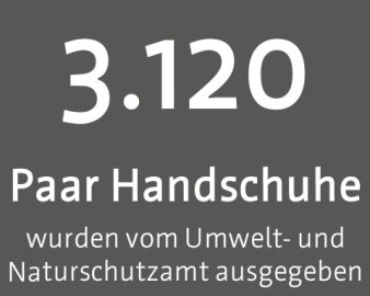 3120 (Anzahl der ausgegebenen Handschuhe zum Erfurter Frühjahrsputz)