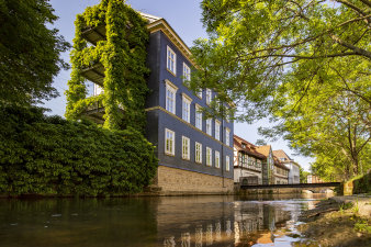 Blick über die Gera auf ein mit Fasadengrün teilweise bewachsenes Haus. 