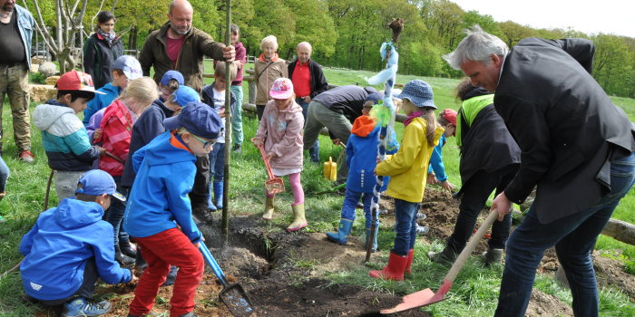 Kinder und Erwachsene beim Baumpflanzen