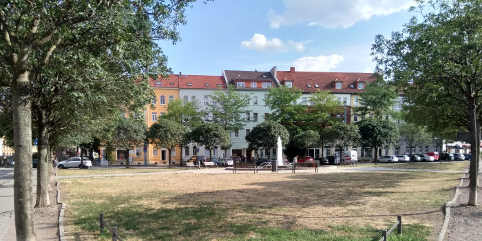 Foto: Leipziger Platz in Dürrezeiten 2018 © Guido Spohr Vertrockneter Rasen