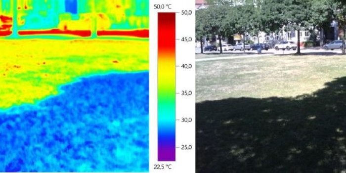 Oberflächentemperatur am Nachmittag 14 Uhr mit und ohne Schatten