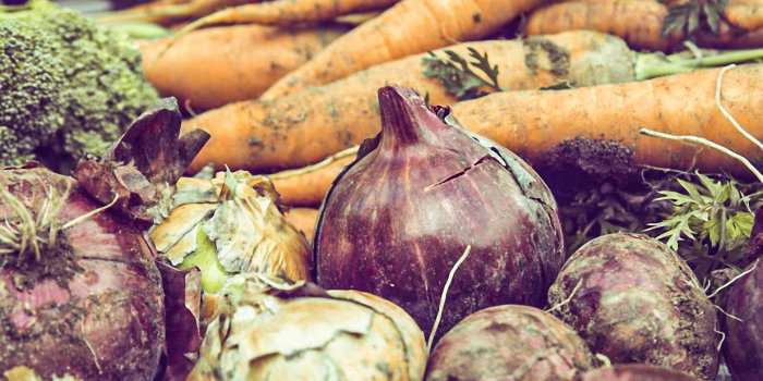 Foto: Gemüseernte vom Hochbeet kann lohnend sein © markusspiske auf pixabay Zwiebeln und Möhren