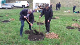 Zwei Männerpflanzen einen Baum