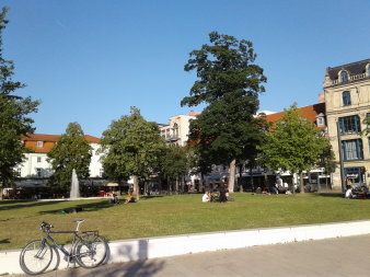 Erfurter Hirschgarten an sonnigem Tag mit Laubbäumen und Springbrunnen.
