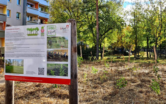 Gemeinsam wird ein Miniwald erschaffen.