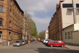 Straße mit Autos und Baumreihe