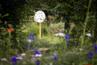 Blick über Blumen und wilde Wiesen in Richtung eines kreisförmigen Schildes