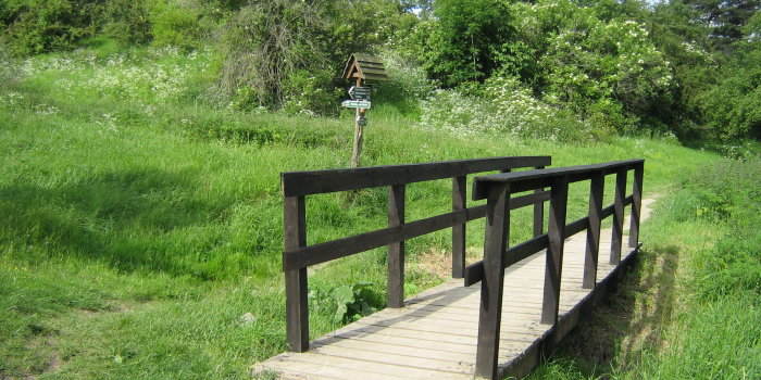 Das Foto zeigt eine Holzbrücke, die einen Wanderweg über den Weißbach führt.