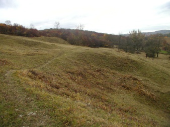 Trockenhang in hügeliger Landschaft