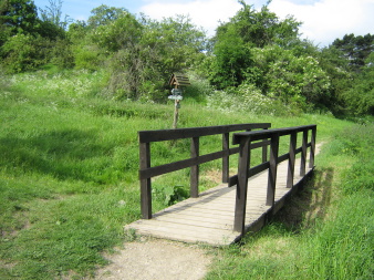 Holzbrücke im Wanderweg im sommerlichen Grün