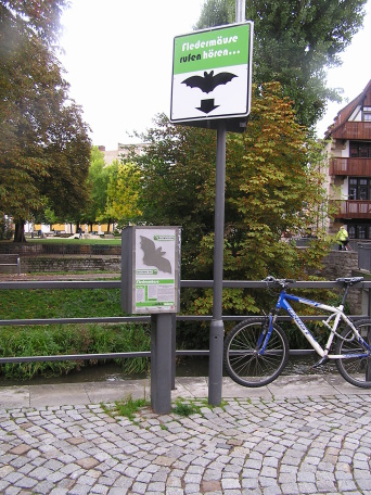 Hinweisschilder mit Erläuterungstext zur Station, an der Fledermausansiedlungen akustisch erlebbar werden.