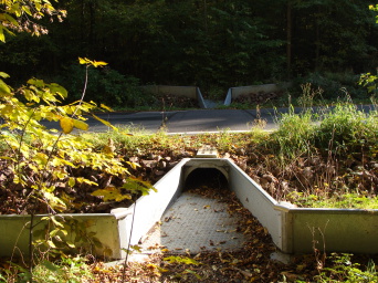 Kleine Tunnelröhre, die eine Straße unterquert und von viel Grün flankiert wird.