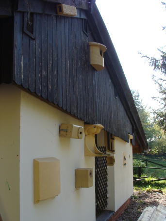 Eine Hausfassade mit einer integrierten Nisthilfe
