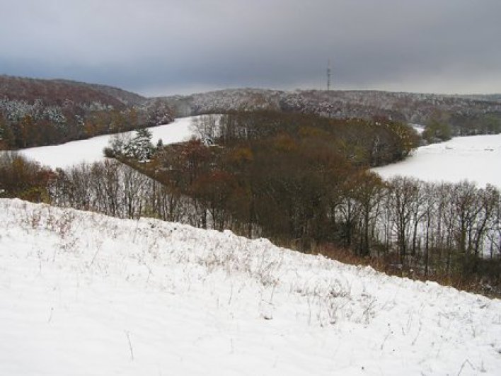 schneebedeckte Landschaft mit Wald im Hintergrund