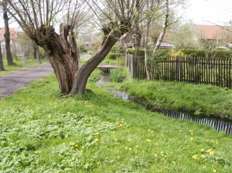 Das Foto zeigt einen Blick auf den schmalen Bachlauf - flankiert von Grün, Bäumen und Wegen, im Hintergrund liegt die Ortschaft.