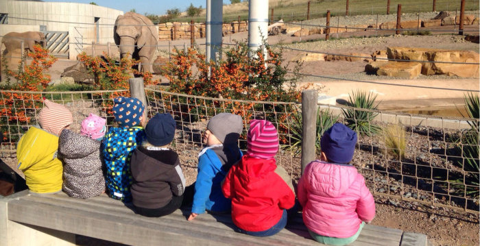 Tagespflegekinder sitzen gemeinsam auf einer Bank im Erfurter Zoo und schauen sich einen Elefanten an
