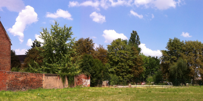 Brachfläche mit Wiese und Bäumen, darunter steht: Bürgerwerkstatt für die Zukunft der Äußeren Oststadt