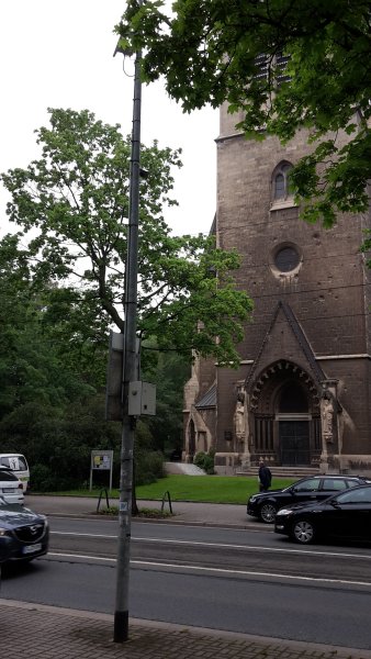 Gerätekasten mit Sensoren hängt an einem Baum in der Nähe einer Straße