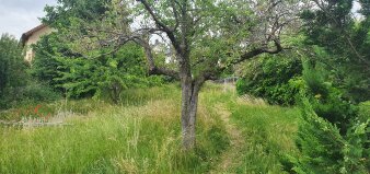 Objekt 610 Gartenansicht