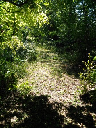 Objekt 594 Riesaer Weg, Ansicht