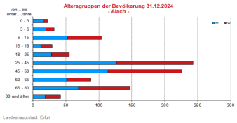 Alterspyramide: Darstellung der Altersstruktur pro Altersjahrgang in Form eines Lebensbaums, links männlich, rechts weiblich