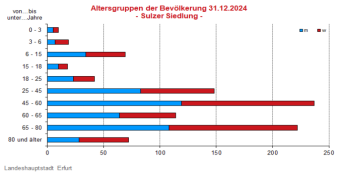 Alterspyramide: Darstellung der Altersstruktur pro Altersjahrgang in Form eines Lebensbaumes, rechts männlich, links weiblich