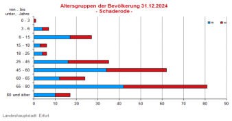 Alterspyramide: Darstellung der Altersstruktur pro Altersjahrgang in Form eines Lebensbaumes, links männlich, rechts weiblich