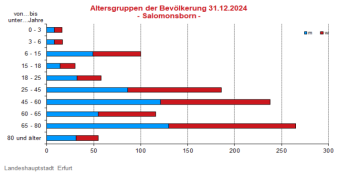 Alterspyramide: Darstellung der Altersstruktur pro Altersjahrgang in Form eines Lebensbaumes, links männlich, rechts weiblich