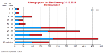 Alterspyramide: Darstellung der Altersstruktur pro Altersjahrgang in Form eines Lebensbaumes, links männlich, rechts weiblich