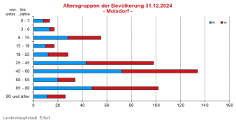 Alterspyramide: Darstellung der Altersstruktur pro Altersjahrgang in Form eines Lebensbaumes, links männlich, rechts weiblich