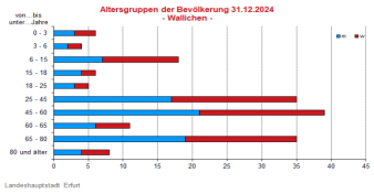 Alterspyramide: Darstellung der Altersstruktur pro Altersjahrgang in Form eines Lebensbaumes, rechts männlich, links weiblich