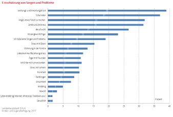 Balkendiagramm: Darstellung der Einschätzung von Sorgen und Problemen 