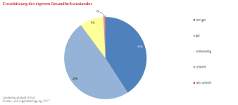 Kreisdiagramm: Darstellung der Einschätzung des eigenen Gesundheitszustandes