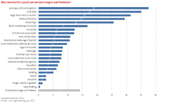 Balkendiagramm: Die Darstellung zeigt mit welcher Häufigkeit Sorgen und Probleme auftreten.