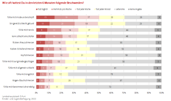 Balkendiagramm: Die Darstellung zeigt mit welcher Häufigkeit gesundheitliche Probleme auftreten.