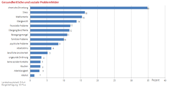 Balkendiagramm: Die Abbildung zeigt die gesundheitlichen und sozialen Problemfelder der Befragten 55+.