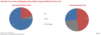 Kreisdiagramm: Die Darstellung zeigt die Inanspruchnahme von Strom und Gas durch die SWE.