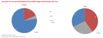 Kreisdiagramme: Die Abbildung zeigt die Anteile der Strom- oder Gasnutzer (Strom oder Gas von den SWE).
