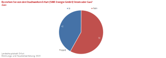 Kreisdiagramm: Die Abbildung zeigt den Anteil der SWE-Gaskunden der Befragten.