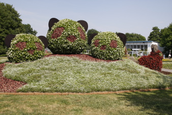 Foto - Einweihungdes Partnerschaftsgarten Xuzhou